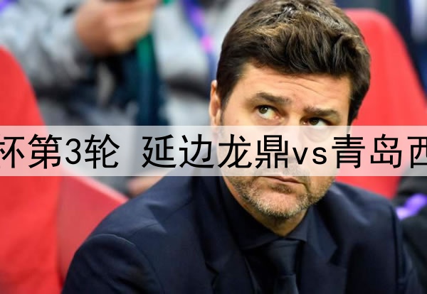 05月21日 足协杯第3轮 延边龙鼎vs青岛西海岸 全场录像